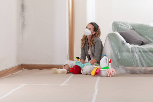 Trusted Mold Testing service in Yorktown, TX - WQB Mold Removal